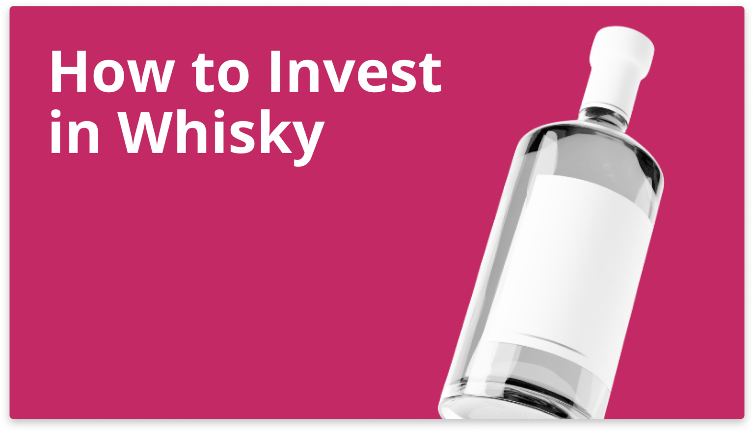 Whisky Investments 2024 Business Expert